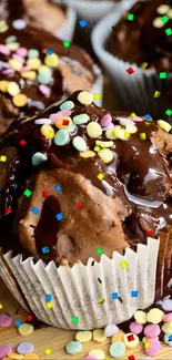 Chocolate muffins with colorful sprinkles.