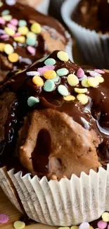 Chocolate muffins with colorful sprinkles topping.
