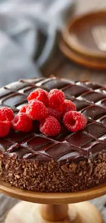 Chocolate cake with raspberries on top.