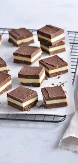 Stacked chocolate treats with creamy layers on a baking rack.