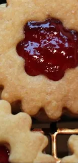 Close-up of a golden-brown cookie with red jam center.