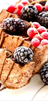 Chocolate cake with berries on top.