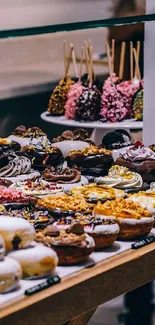Vibrant array of assorted desserts on display.