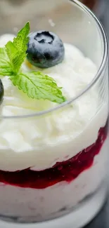 Delicious dessert in a glass with blueberries and mint.