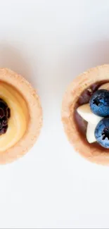 Assorted fruit dessert tarts with delicious toppings.