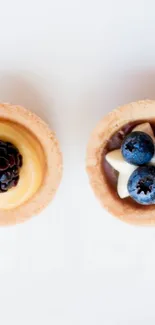 Close-up view of fruit tarts with blueberries and fresh cream.