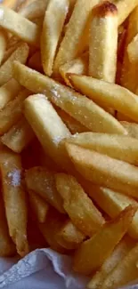 Golden crispy French fries on display.