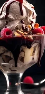 Ice cream sundae with berries and chocolate syrup in a glass dish.