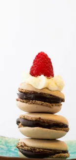 Chocolate macarons with raspberry on top