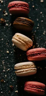Five macarons elegantly arranged on a dark, rustic surface.