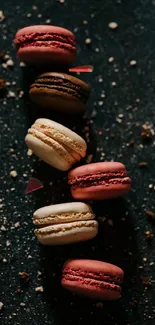 Colorful macarons on dark textured background.