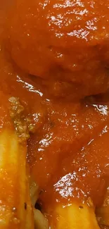 Close-up of pasta with tomato sauce, showcasing rich and savory textures.