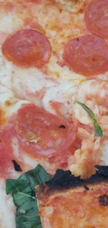 Closeup of a pepperoni pizza with melted cheese and basil.