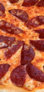 Close-up of cheesy pepperoni pizza slice wallpaper.