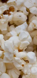 Close-up of delicious buttery popcorn.