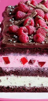 Raspberry chocolate dessert on a pink background.