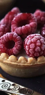 Close-up of a frosty raspberry tart on a decorative plate.