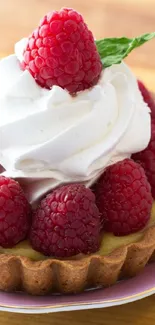 Raspberry tart with whipped cream topping on a plate.