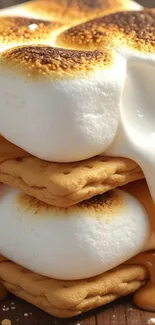 Stack of gooey marshmallows and graham crackers.