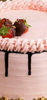 Pink strawberry cake with chocolate drizzles topped with strawberries.