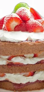 Layered strawberry cake with whipped cream and fruit topping.