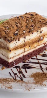 Close-up of a delicious tiramisu with chocolate drizzle and mint leaf.