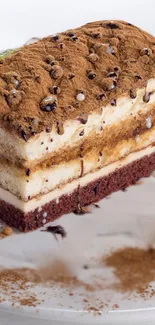 Tiramisu dessert with cocoa dusting on plate.