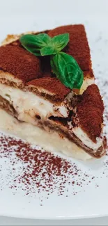 Tiramisu cake slice with mint on white plate.