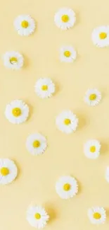 Soft yellow wallpaper with scattered white daisies.