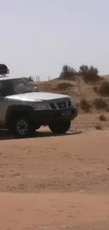 Offroad vehicle on sandy desert terrain, capturing adventure.