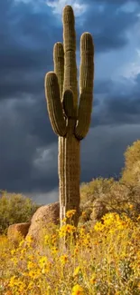 Cactus in desert with yellow wildflowers and cloudy sky.