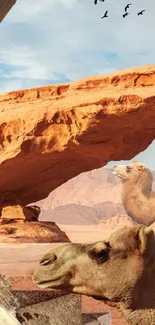 Camels under an orange rock arch with a desert background.