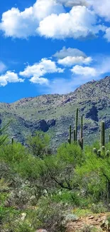 Desert landscape with cactus under blue sky and mountain background.