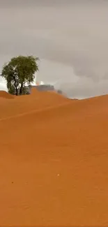 Desert landscape with tree and dunes under cloudy sky.