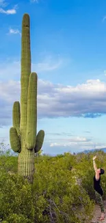 Yoga in desert landscape with cactus and blue sky backdrop.