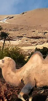 Camel in a desert landscape with sand dunes and an oasis.