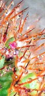 Vibrant cactus with dewy droplets on spines, creating an artistic natural effect.