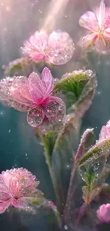 Pink dew-covered flowers in soft focus.