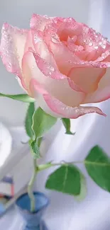 Close-up of a dew-kissed pink rose with green leaves in a vase.