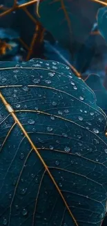 Close-up of a teal leaf with dewdrops, perfect for mobile wallpaper.