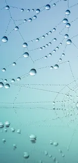 Spider web with water droplets on a pale blue gradient background.