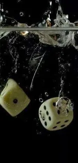 Dynamic dice splashing into water against a dark background.