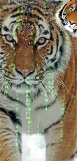 A tiger with digital Matrix code overlay on a snowy background.