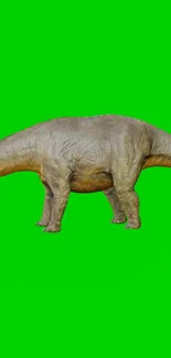 Realistic dinosaur on bright green mobile wallpaper.