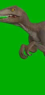 Velociraptor on a vivid green background wallpaper.