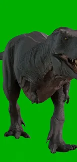 Roaring dinosaur on green background wallpaper.