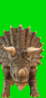 Triceratops dinosaur on bright green background wallpaper.