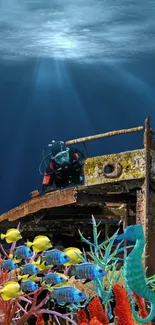 Underwater diver at shipwreck with colorful fish and marine life.