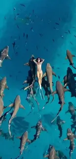 Diver peacefully floating among numerous sharks in vibrant blue waters.