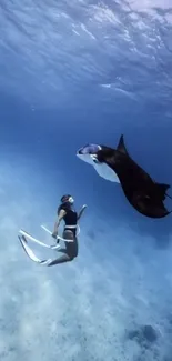 Diver meets manta ray in tranquil ocean scene.